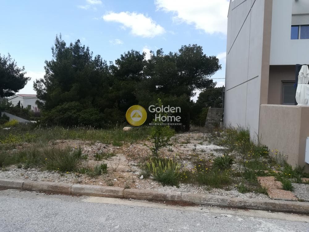 Οικόπεδο στην Πάτημα, Χαλάνδρι — Φωτογραφία 4 από 9