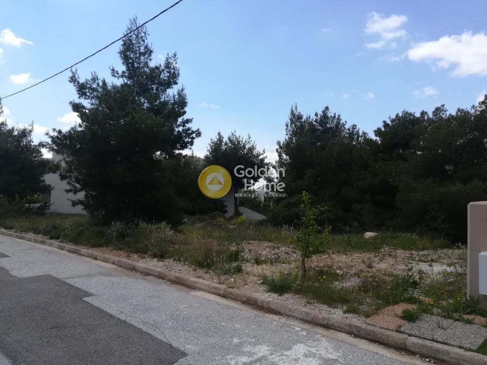 Οικόπεδο στην Πάτημα, Χαλάνδρι — Φωτογραφία 5 από 9