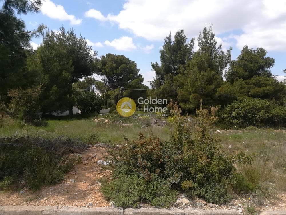 Οικόπεδο στην Πάτημα, Χαλάνδρι — Φωτογραφία 6 από 9
