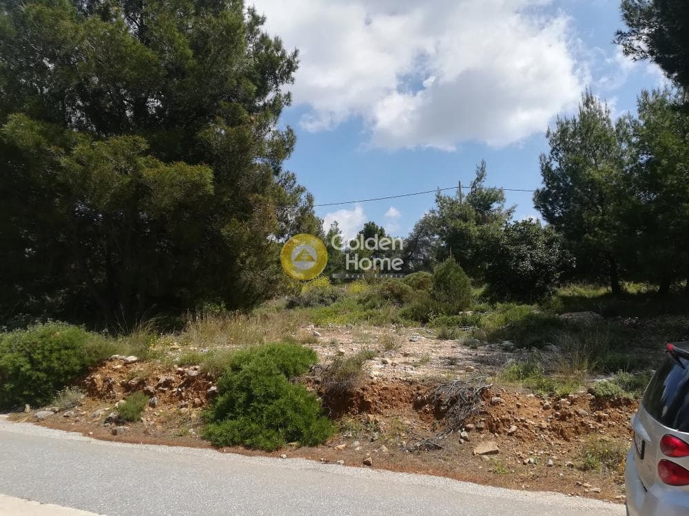 Οικόπεδο στην Πάτημα, Χαλάνδρι — Φωτογραφία 7 από 9