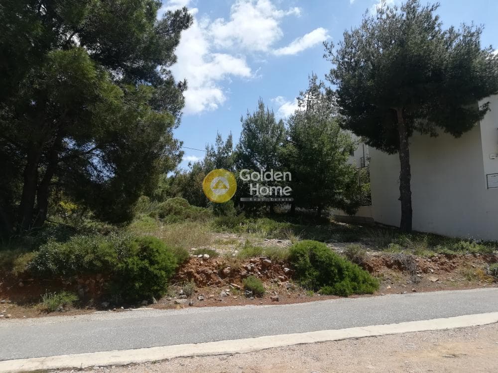 Οικόπεδο στην Πάτημα, Χαλάνδρι — Φωτογραφία 9 από 9
