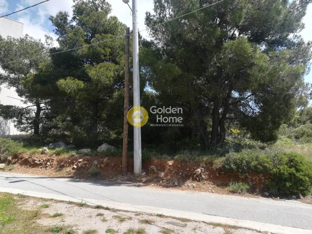 Οικόπεδο στην Πάτημα, Χαλάνδρι — Φωτογραφία 8 από 9