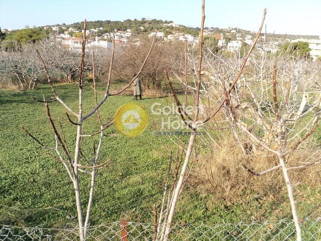 Οικόπεδο στην Πόρτο Ράφτη, Βραυρώνα