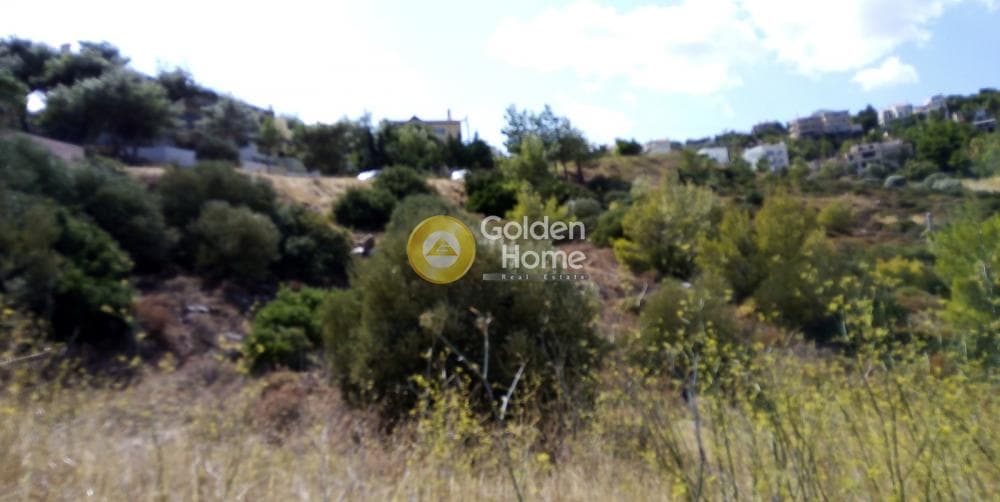 Building Plot in Ntrafi, Pikermi — Photo 10 of 12