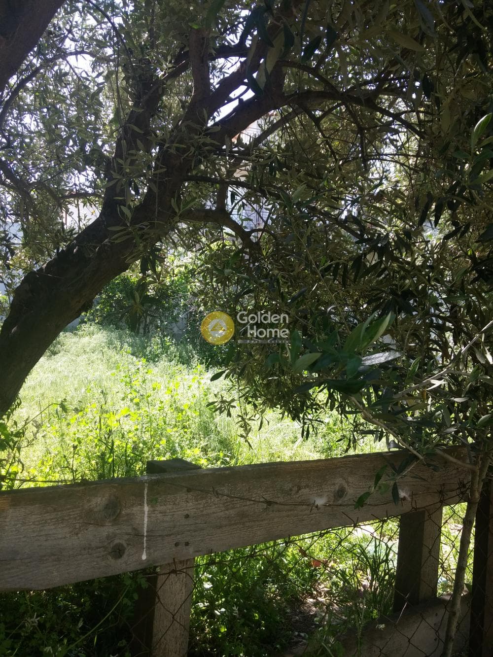 Οικόπεδο στην Πυργούθι, Αχαρνές — Φωτογραφία 3 από 7