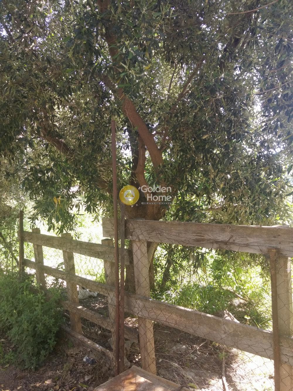 Οικόπεδο στην Πυργούθι, Αχαρνές — Φωτογραφία 5 από 7