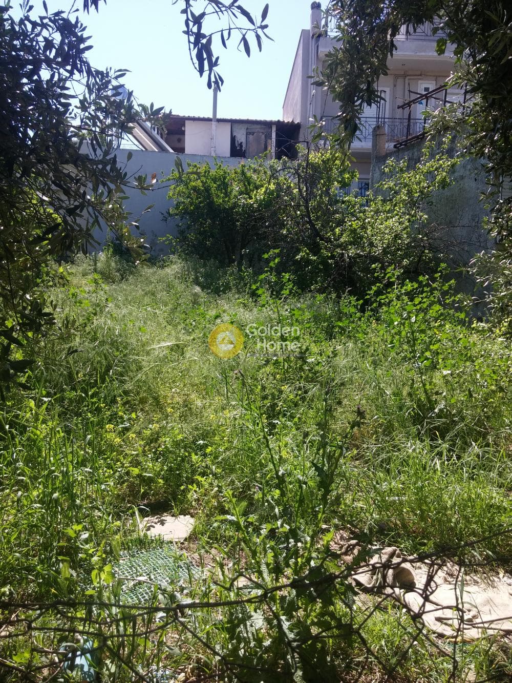 Οικόπεδο στην Πυργούθι, Αχαρνές — Φωτογραφία 2 από 7