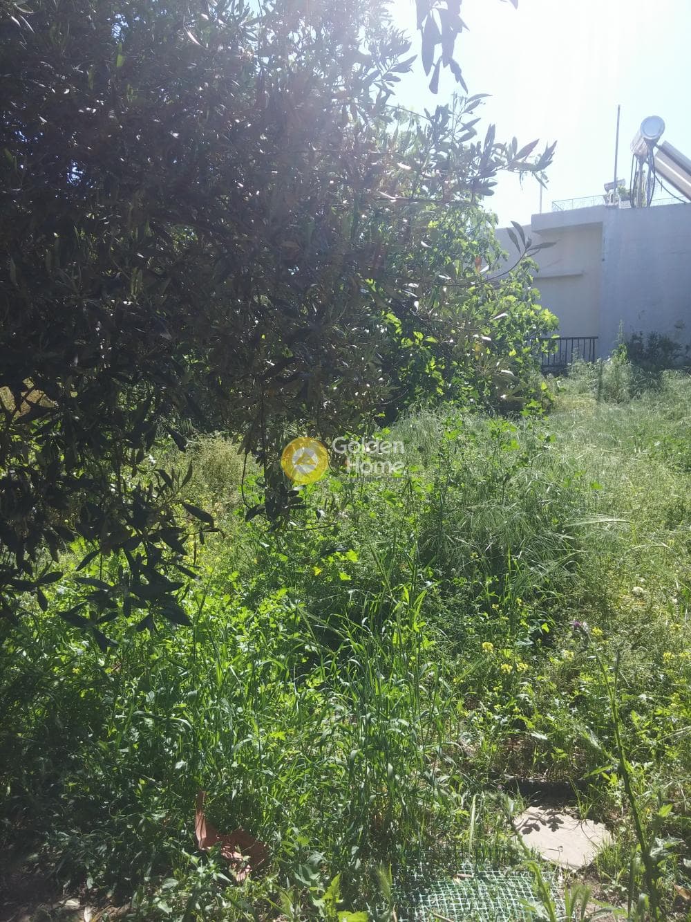 Οικόπεδο στην Πυργούθι, Αχαρνές — Φωτογραφία 6 από 7