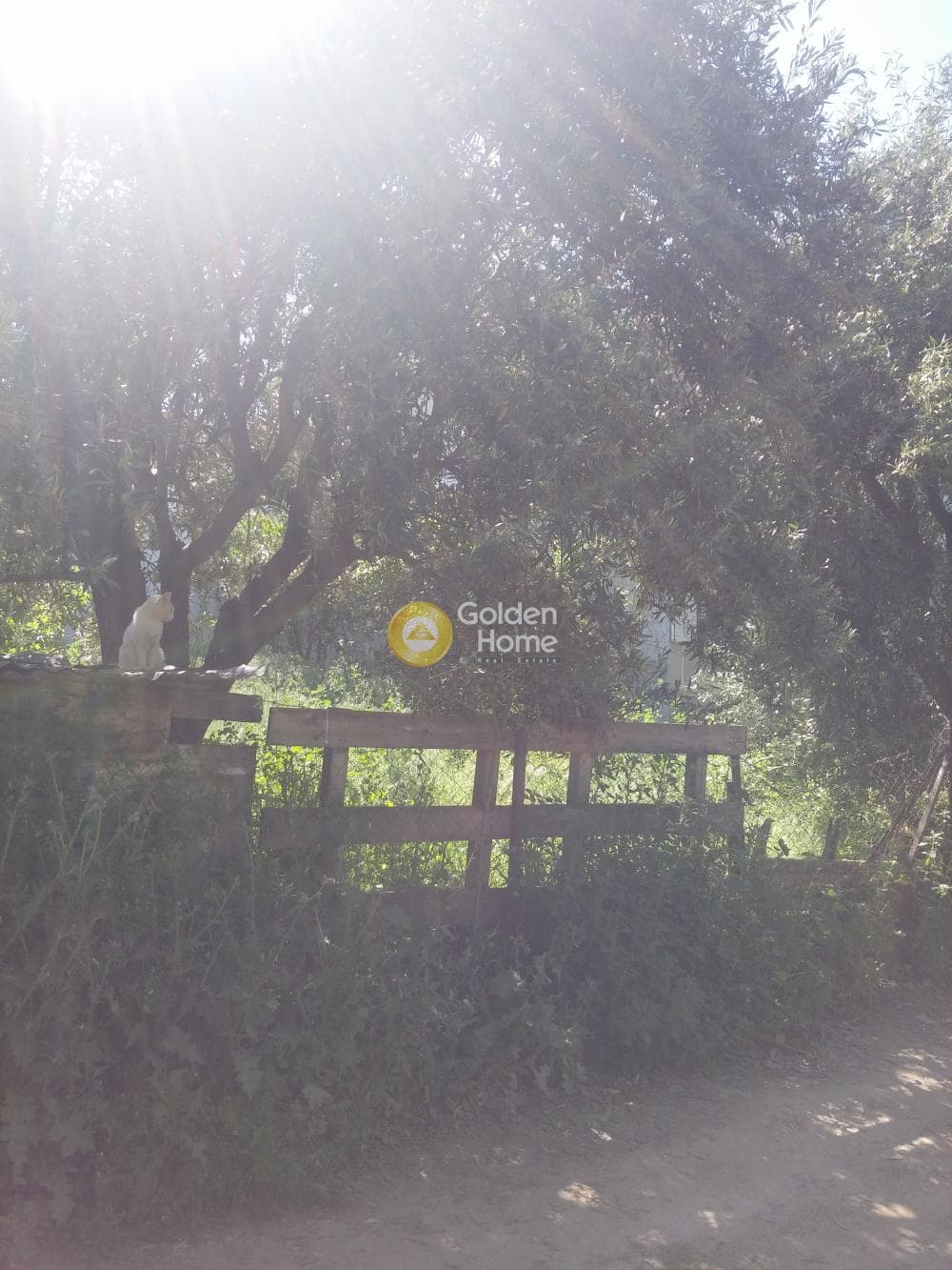 Οικόπεδο στην Πυργούθι, Αχαρνές — Φωτογραφία 7 από 7