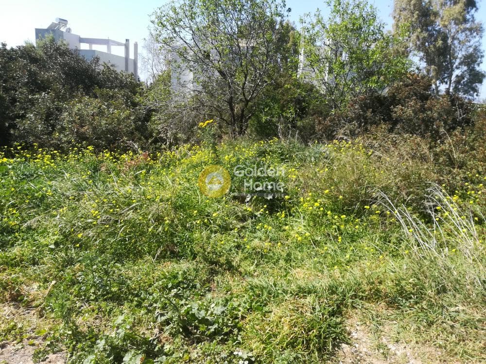 Οικόπεδο στην Λόφος Ξελαφτάκι, Καλύβια Θορικού — Φωτογραφία 5 από 7