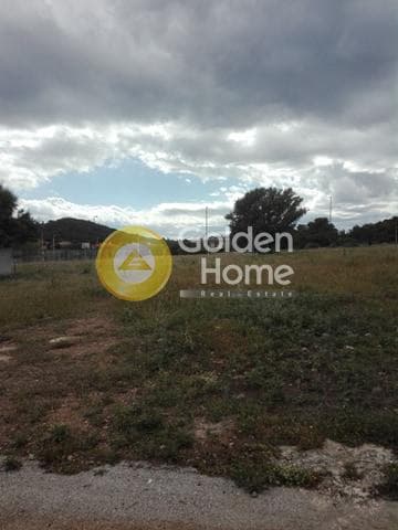 Parcel in Alikes - Lakka, Anavissos — Photo 1 of 7