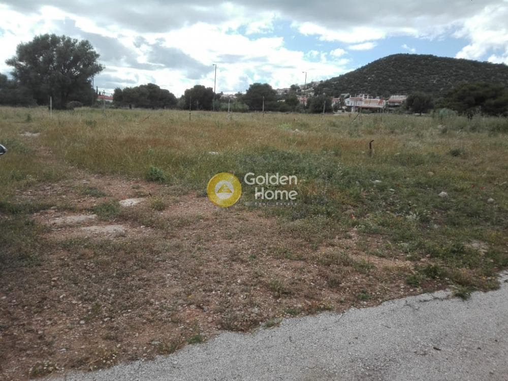 Parcel in Alikes - Lakka, Anavissos — Photo 2 of 7