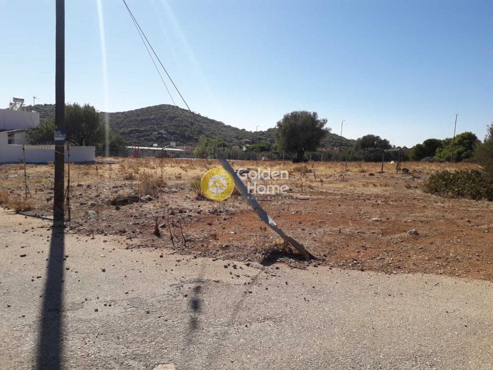 Parcel in Alikes - Lakka, Anavissos — Photo 5 of 7