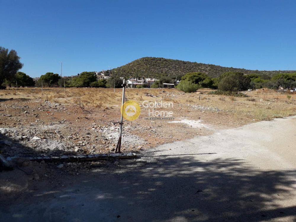 Parcel in Alikes - Lakka, Anavissos — Photo 3 of 7