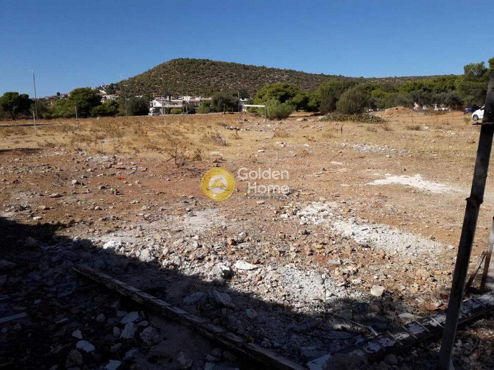 Parcel in Alikes - Lakka, Anavissos — Photo 4 of 7