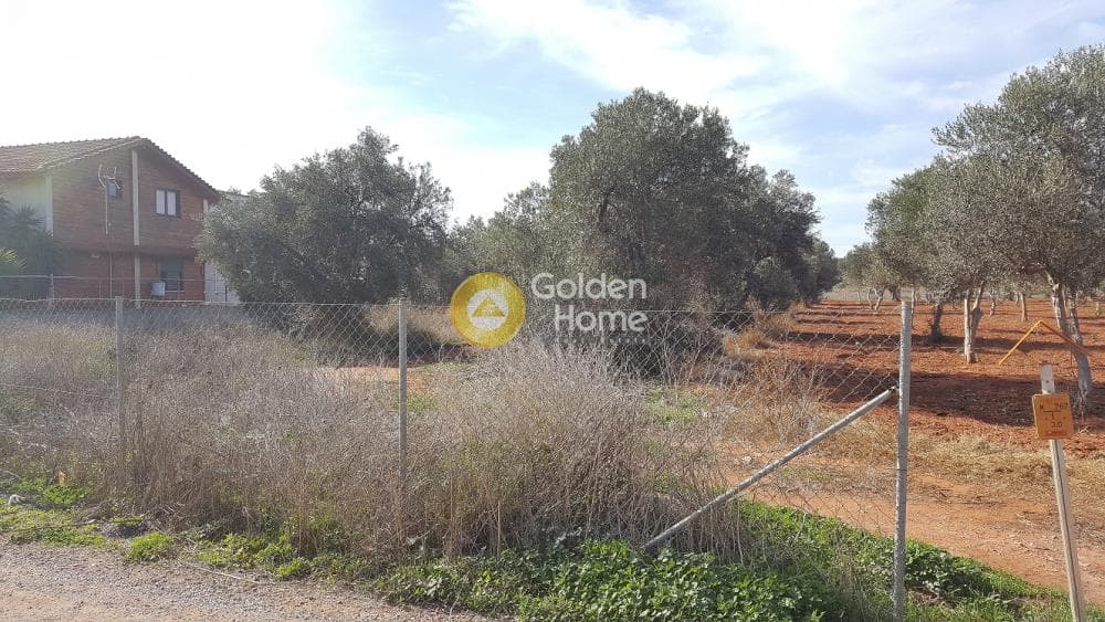 Parcel in Center, Koropi — Photo 1 of 3