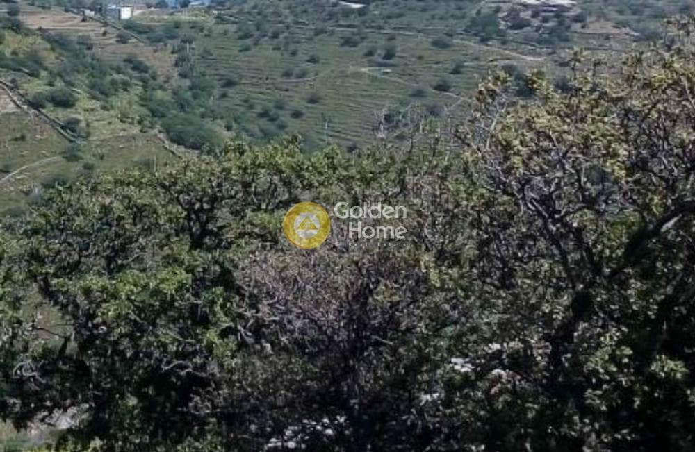 Αγροτεμάχιο στην Κάτω Μεριά, Κέα — Φωτογραφία 3 από 4
