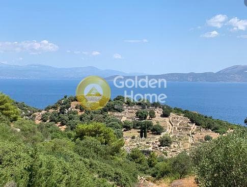 Αγροτεμάχιο στην Γραμματικό - Κέντρο, Γραμματικό