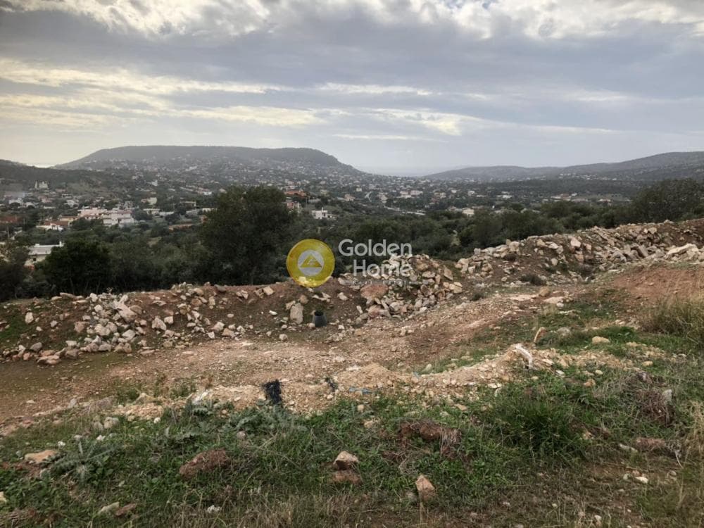 Αγροτεμάχιο στην Λαμπρικά, Κορωπί — Φωτογραφία 2 από 4