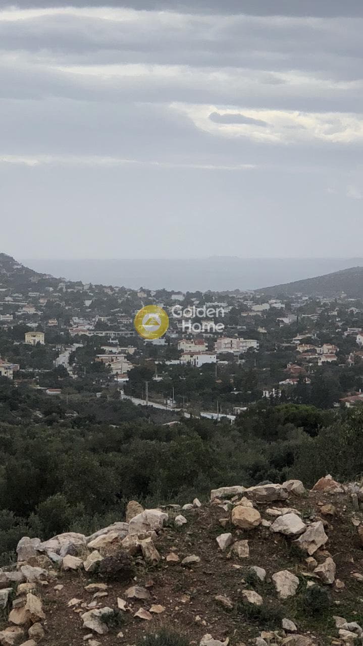 Αγροτεμάχιο στην Λαμπρικά, Κορωπί — Φωτογραφία 3 από 4