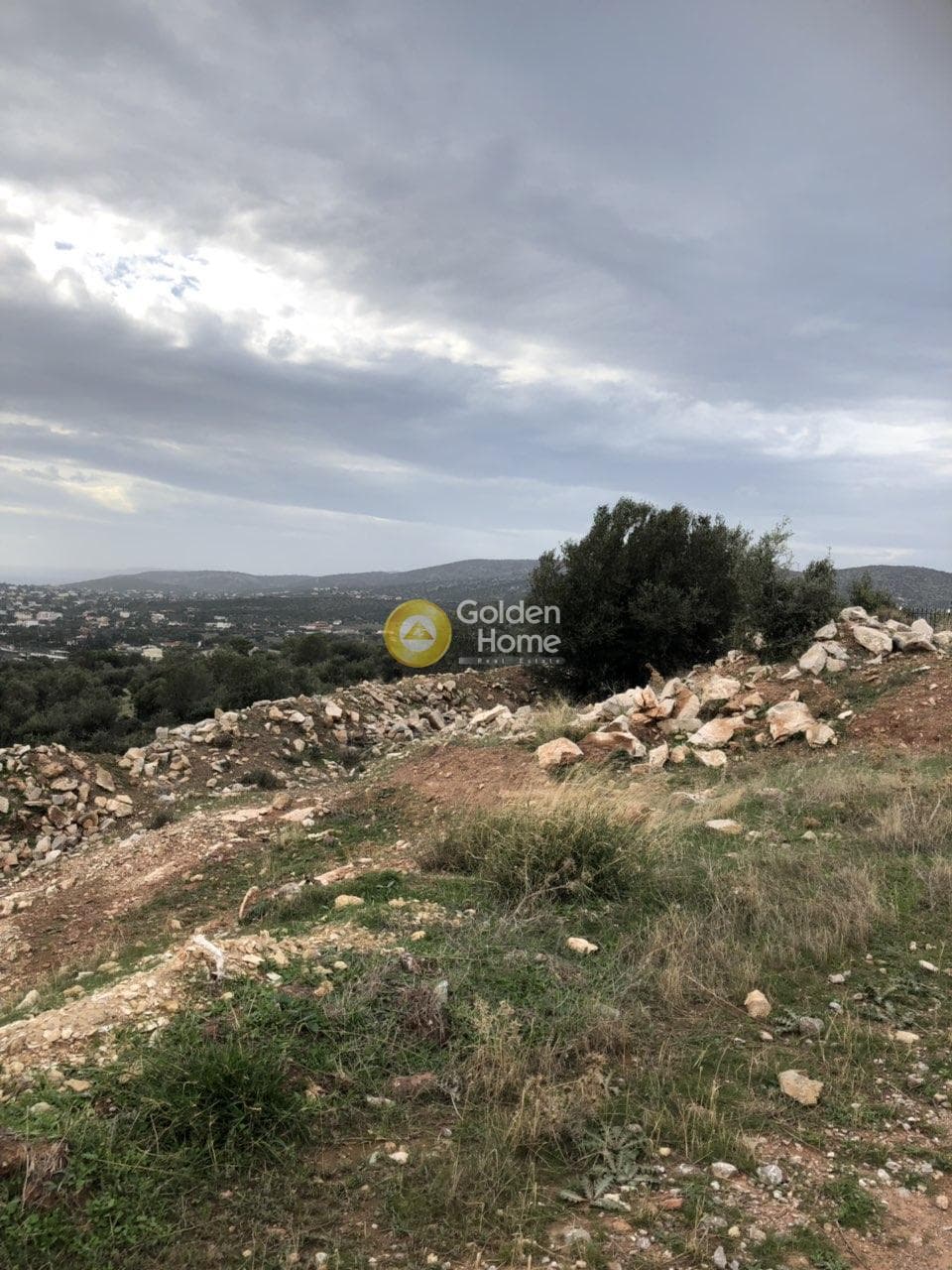 Αγροτεμάχιο στην Λαμπρικά, Κορωπί — Φωτογραφία 4 από 4