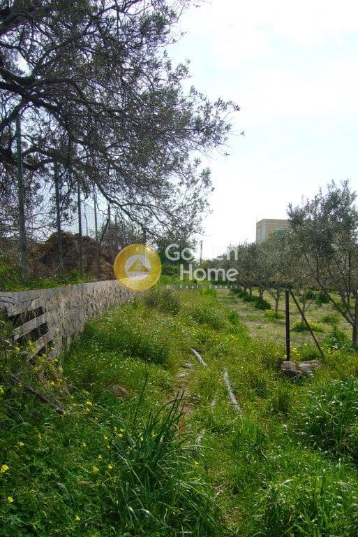 Οικόπεδο στην Κυψέλη, Αίγινα — Φωτογραφία 3 από 9