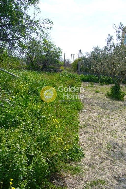 Οικόπεδο στην Κυψέλη, Αίγινα — Φωτογραφία 2 από 9