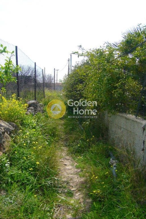 Οικόπεδο στην Κυψέλη, Αίγινα — Φωτογραφία 4 από 9