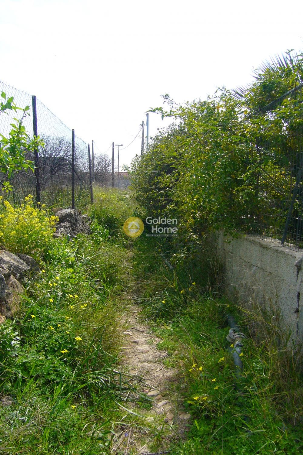 Οικόπεδο στην Κυψέλη, Αίγινα — Φωτογραφία 5 από 9