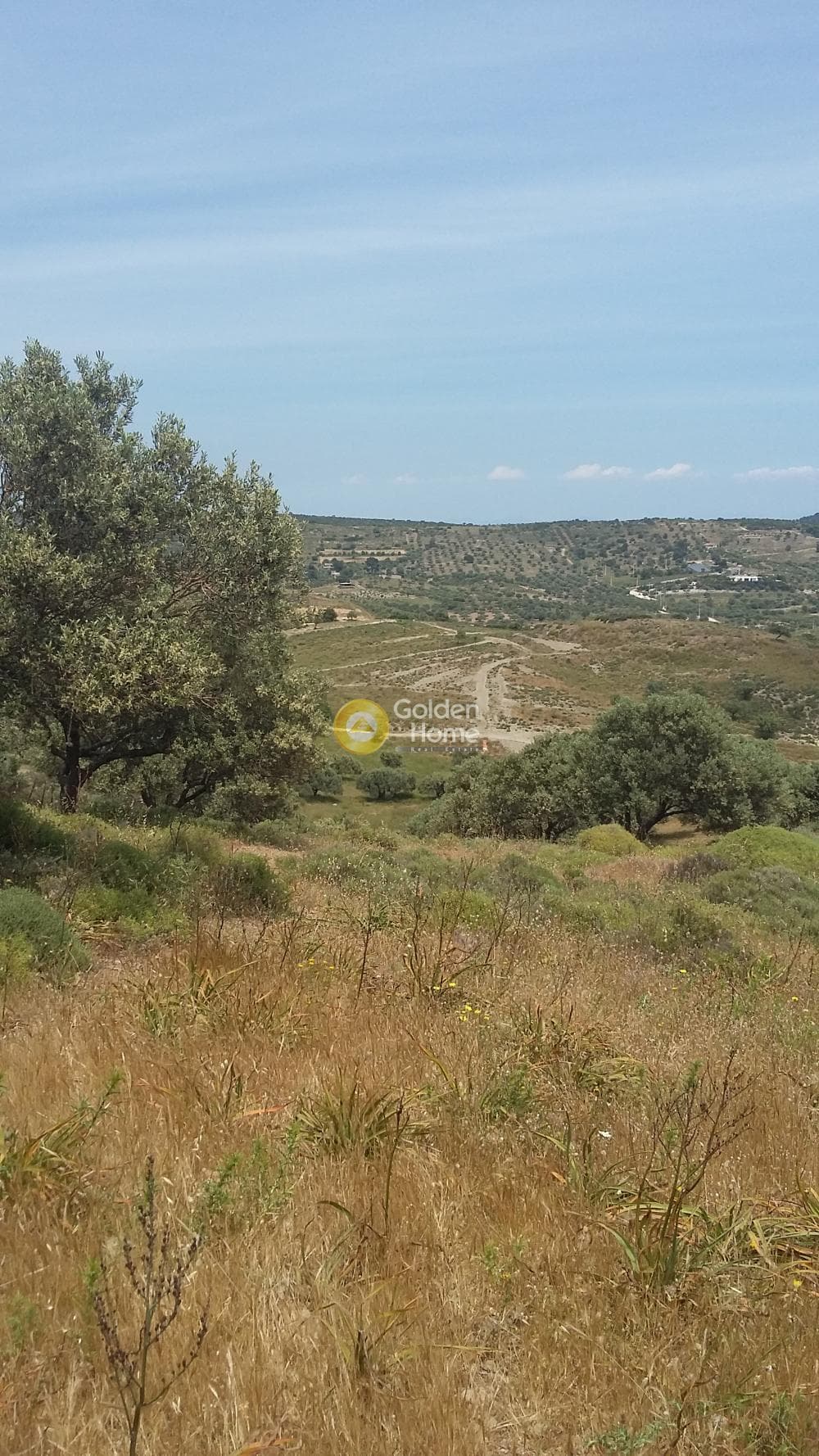 Parcel in Center, Markopoulo — Photo 2 of 13