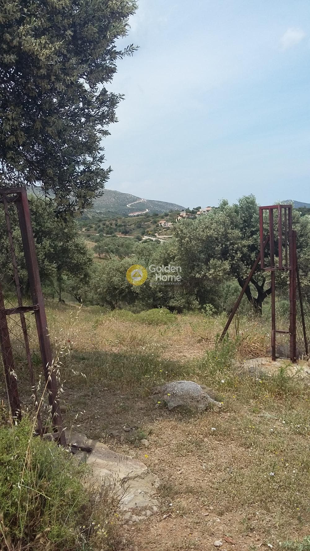 Parcel in Center, Markopoulo — Photo 12 of 13