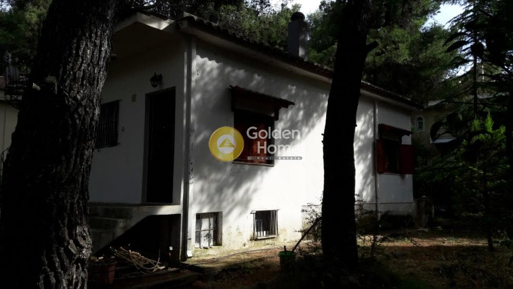 Οικόπεδο στην Δροσιά, Δροσιά — Φωτογραφία 4 από 9