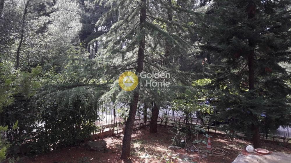 Οικόπεδο στην Δροσιά, Δροσιά — Φωτογραφία 2 από 9