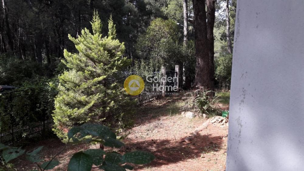 Οικόπεδο στην Δροσιά, Δροσιά — Φωτογραφία 3 από 9
