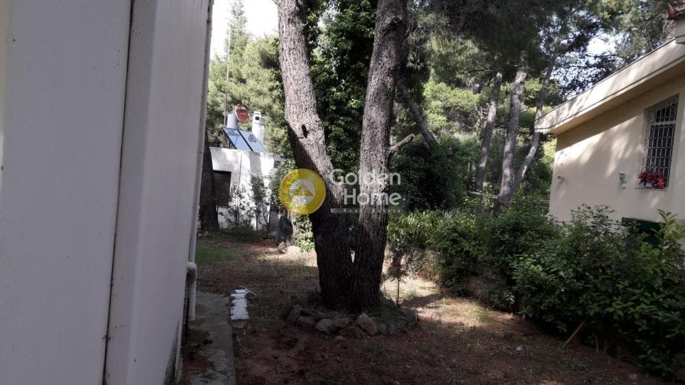 Οικόπεδο στην Δροσιά, Δροσιά — Φωτογραφία 5 από 9