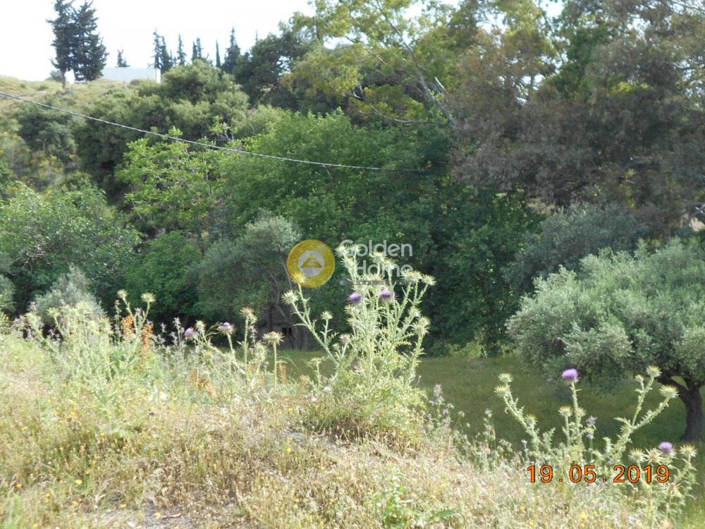Parcel in Agia Kiriaki, Kifisia — Photo 5 of 8