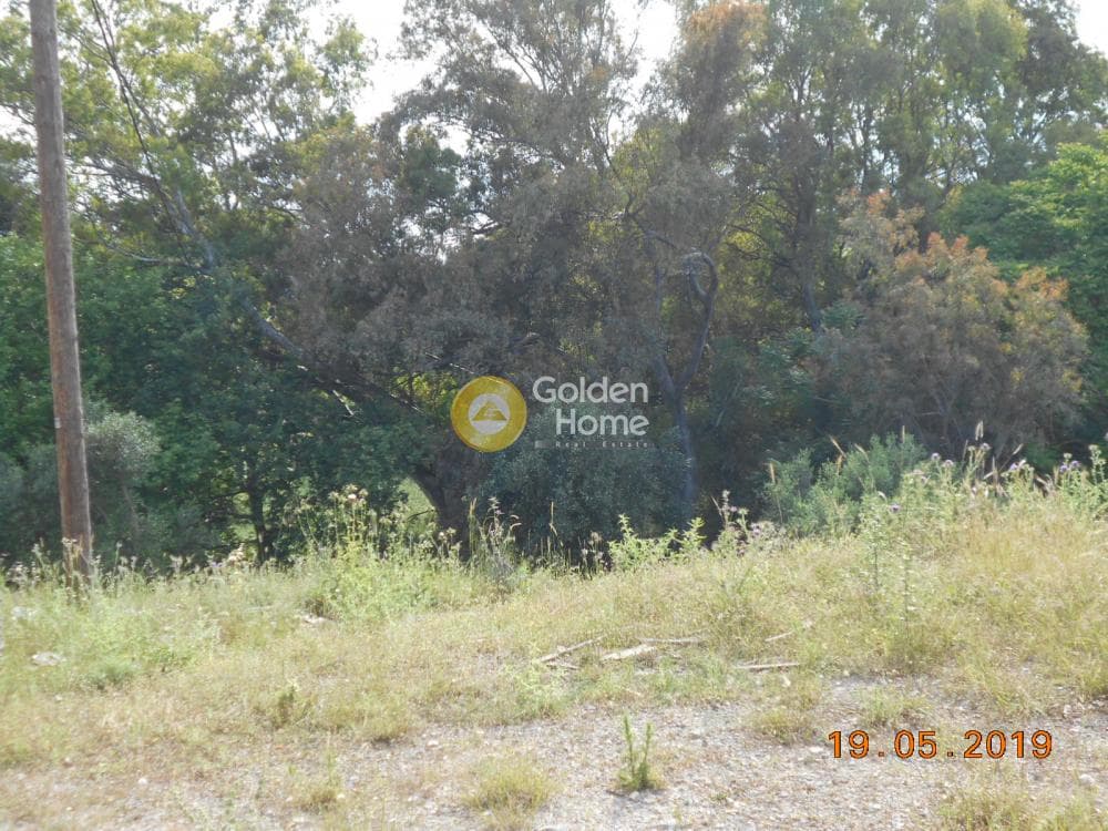 Parcel in Agia Kiriaki, Kifisia — Photo 8 of 8