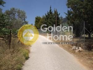 Οικόπεδο στην Καρελλάς, Παιανία — Φωτογραφία 4 από 10