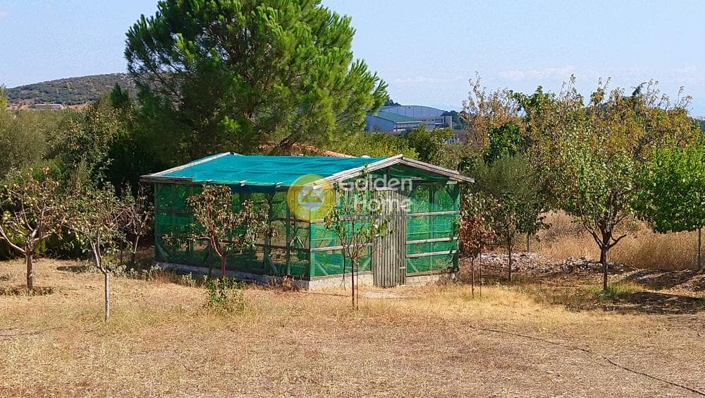 Οικόπεδο στην Καρελλάς, Παιανία — Φωτογραφία 10 από 10