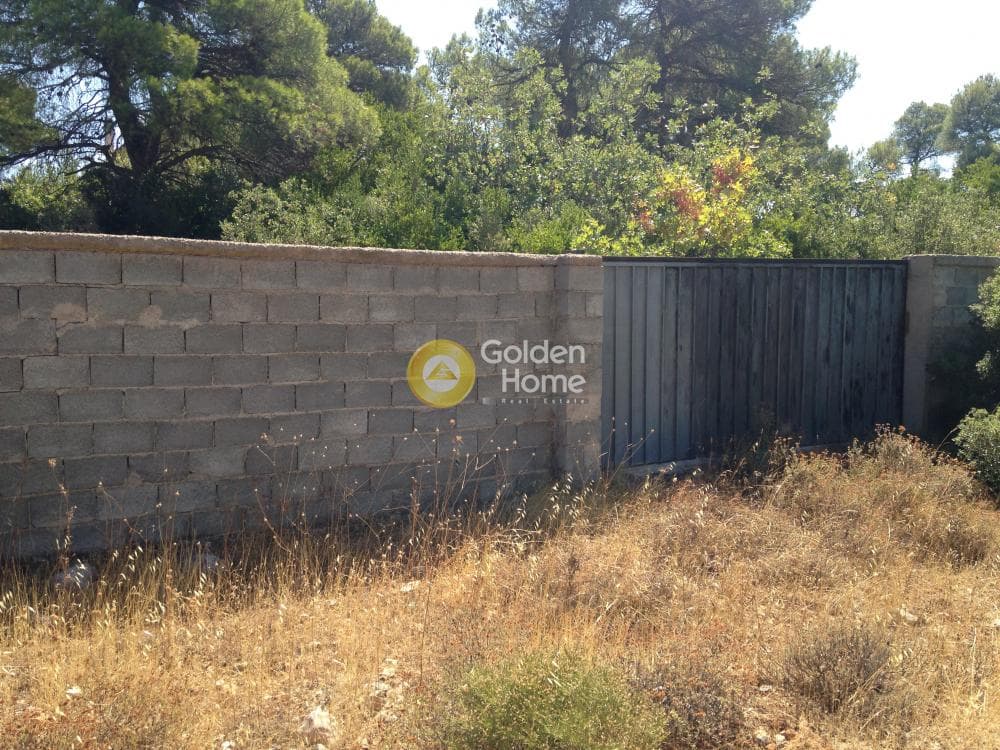 Building Plot in Avgi, Afidnes — Photo 2 of 2
