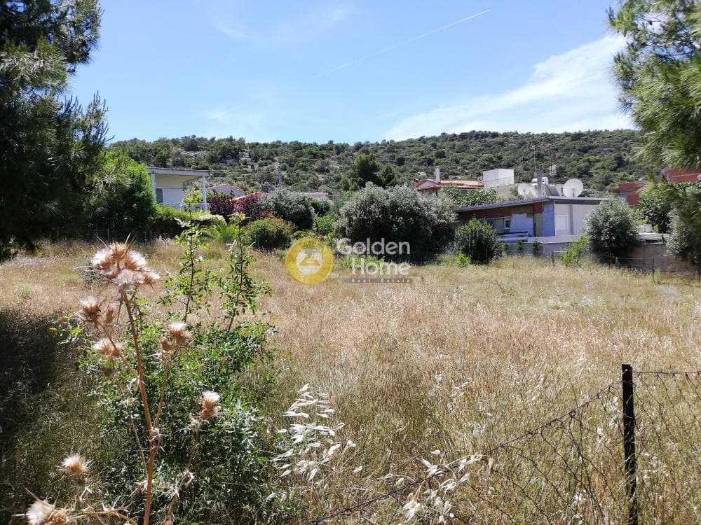 Building Plot in Galazia akti, Kalivia Thorikou — Photo 6 of 11