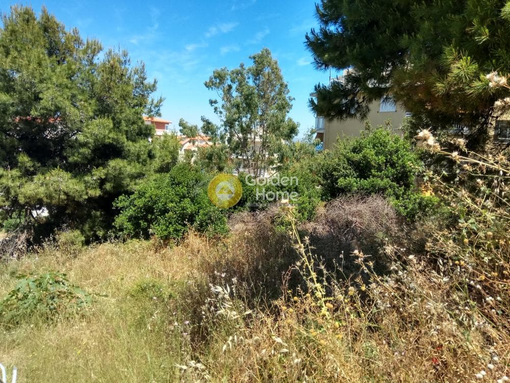 Building Plot in Proteas, Rafina — Photo 3 of 15