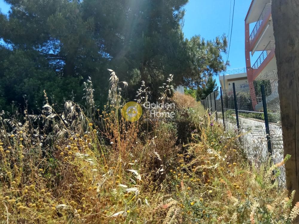 Building Plot in Proteas, Rafina — Photo 4 of 15