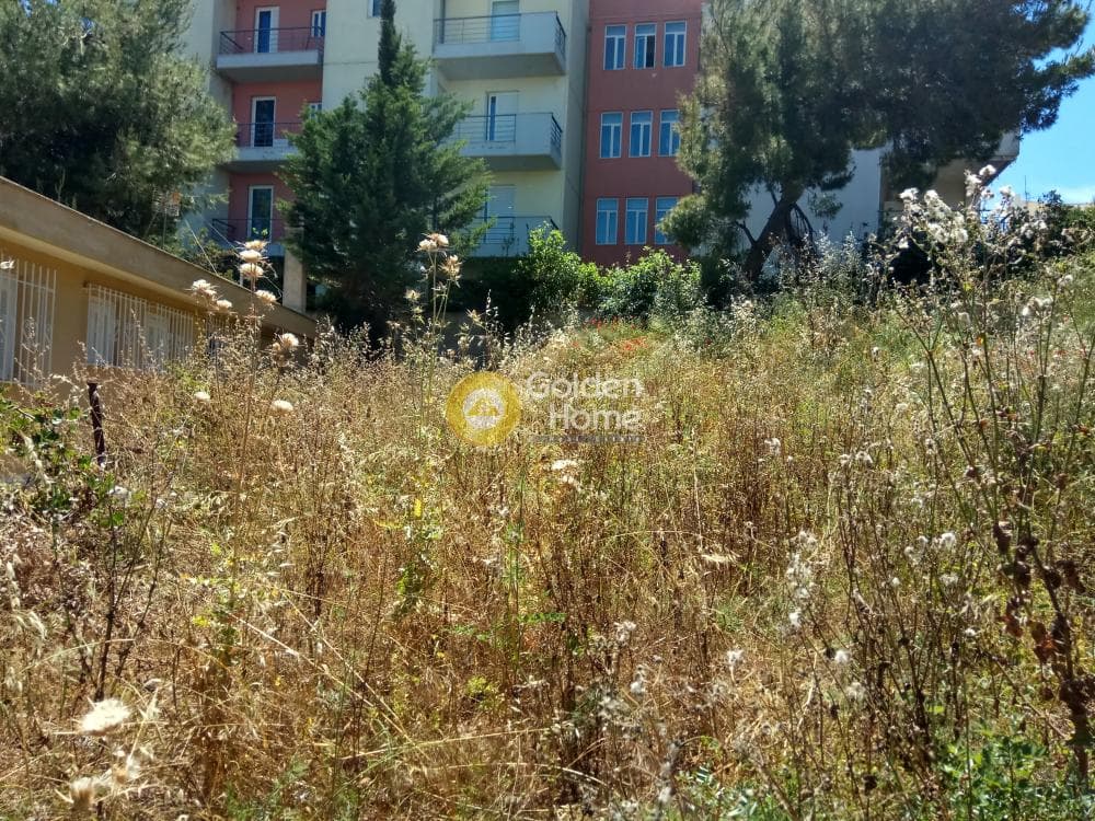 Building Plot in Proteas, Rafina — Photo 6 of 15