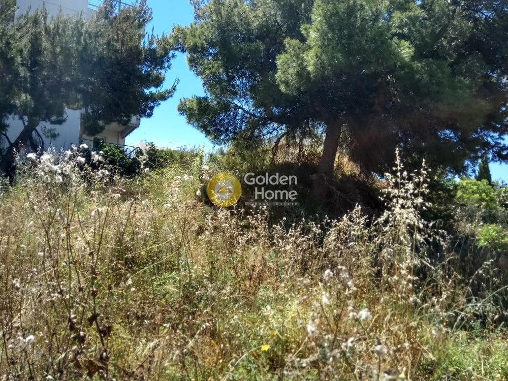 Building Plot in Proteas, Rafina — Photo 7 of 15