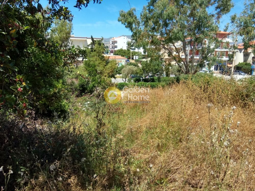 Building Plot in Proteas, Rafina — Photo 9 of 15