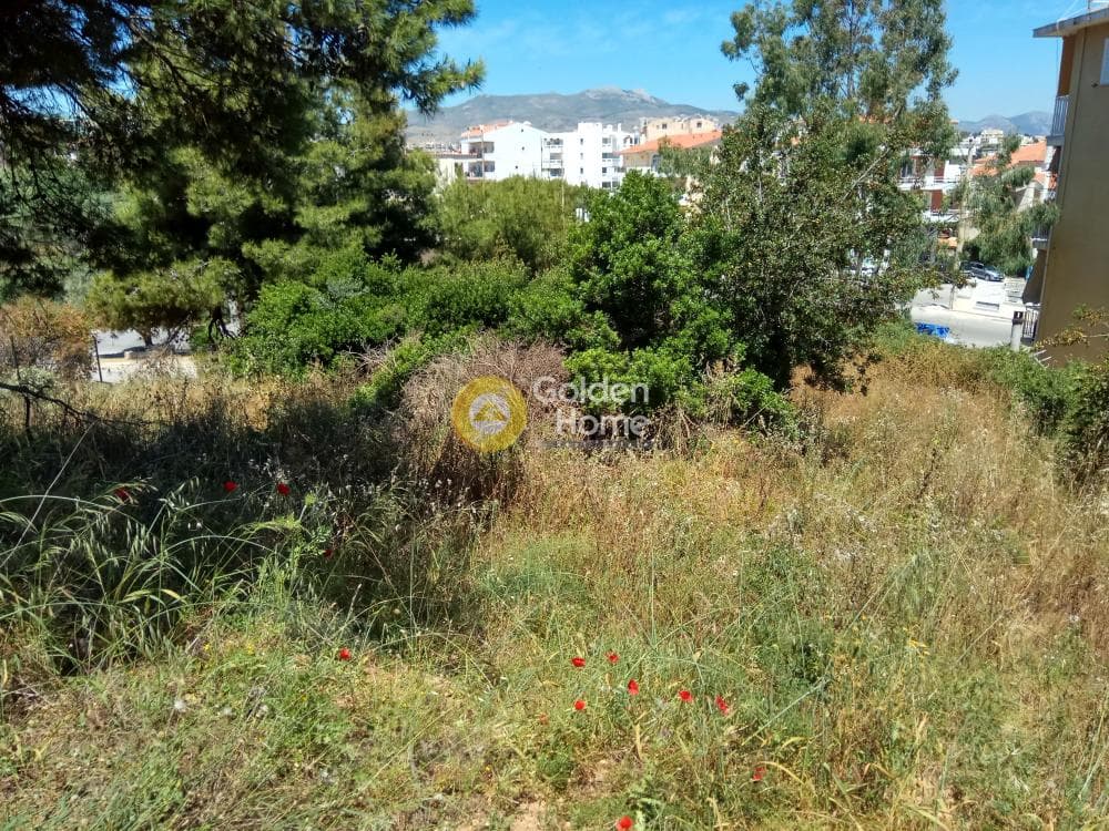 Building Plot in Proteas, Rafina — Photo 10 of 15