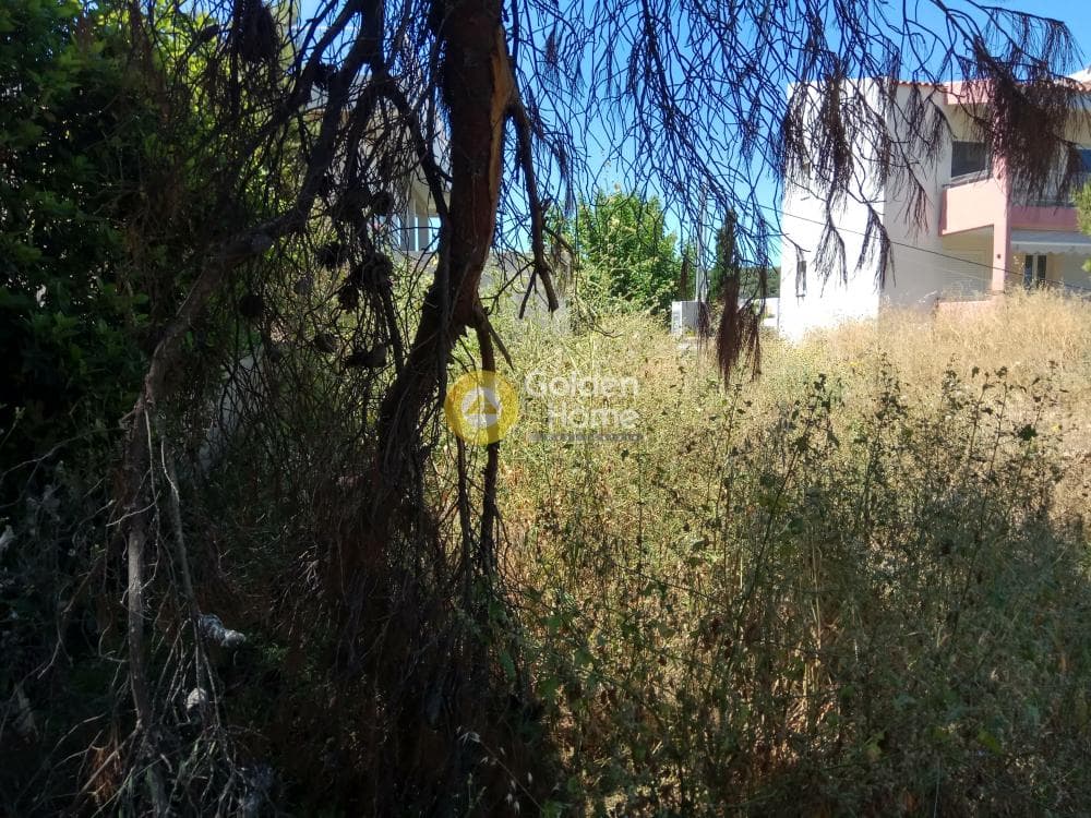 Building Plot in Proteas, Rafina — Photo 8 of 15