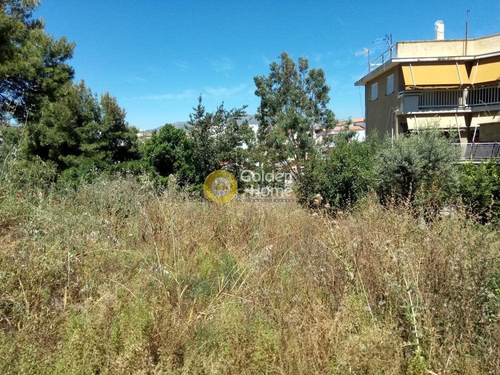 Building Plot in Proteas, Rafina — Photo 13 of 15