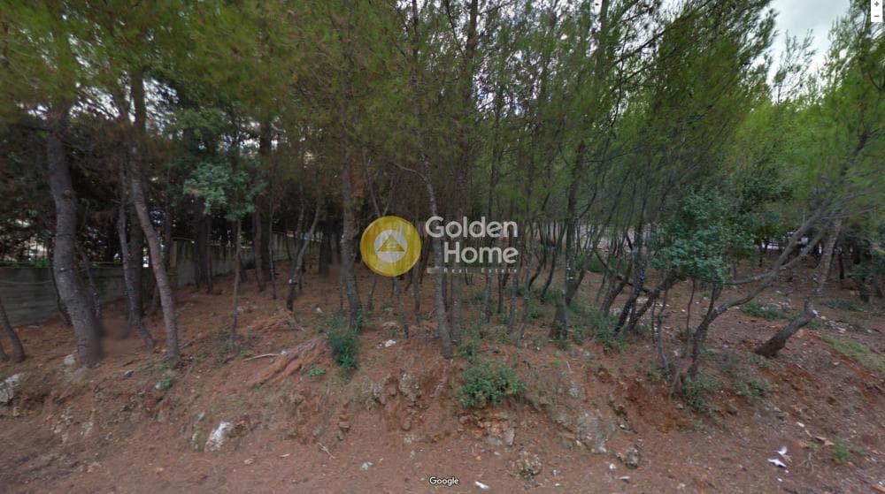 Building Plot in Rodopoli, Rodopoli